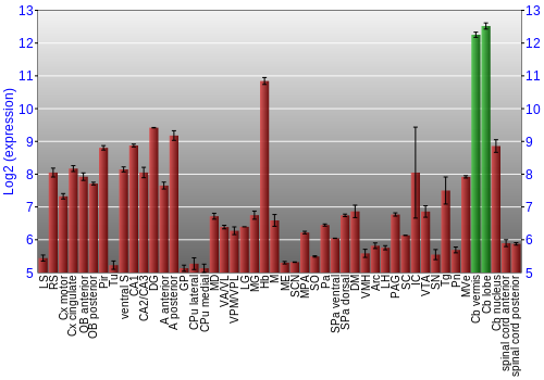 Multi-state expression graph