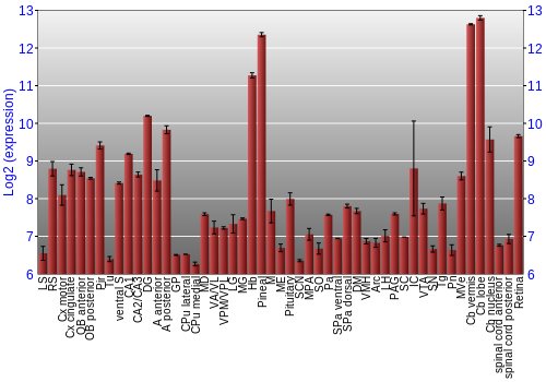 Expression graph