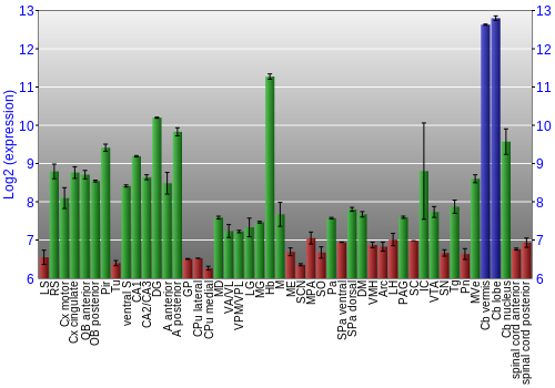 Multi-state expression graph