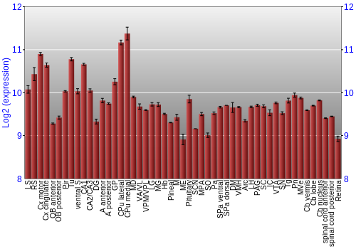 Expression graph