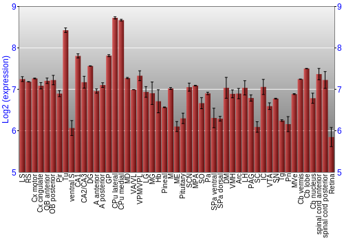 Expression graph