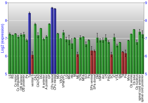 Multi-state expression graph