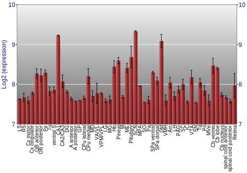 Expression graph