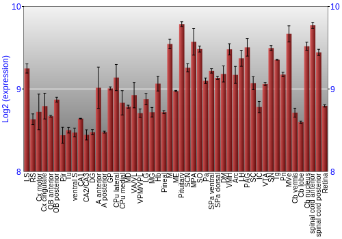 Expression graph