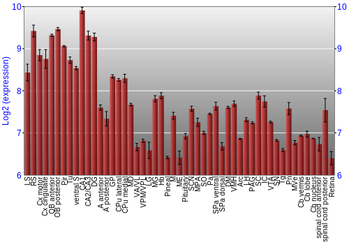 Expression graph
