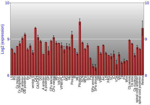 Expression graph