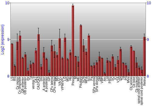 Expression graph