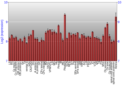 Expression graph
