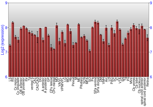 Expression graph