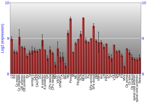 Expression graph