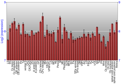 Expression graph