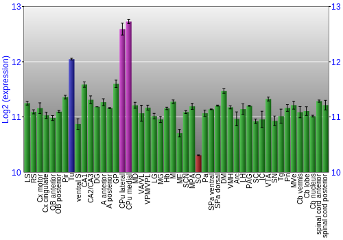 Multi-state expression graph