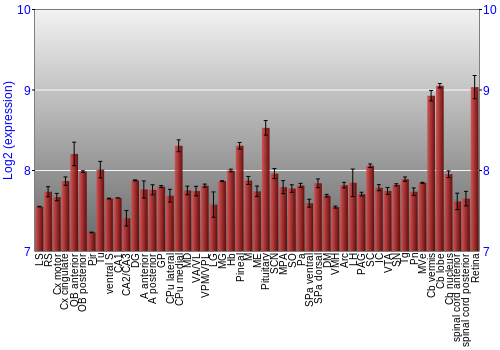 Expression graph