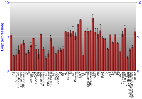 Expression graph