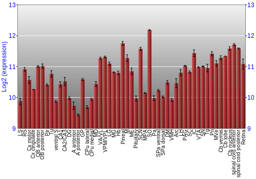Expression graph
