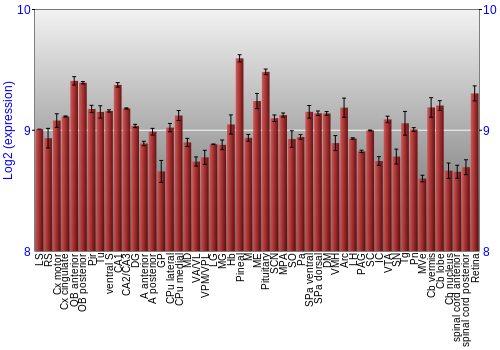 Expression graph