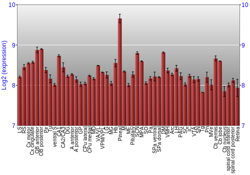 Expression graph