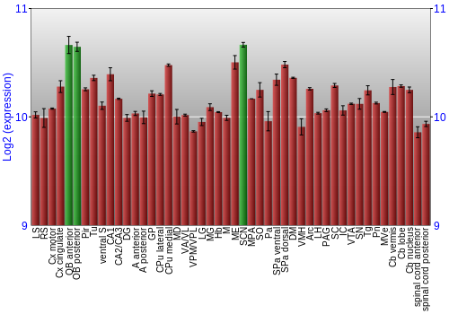 Multi-state expression graph