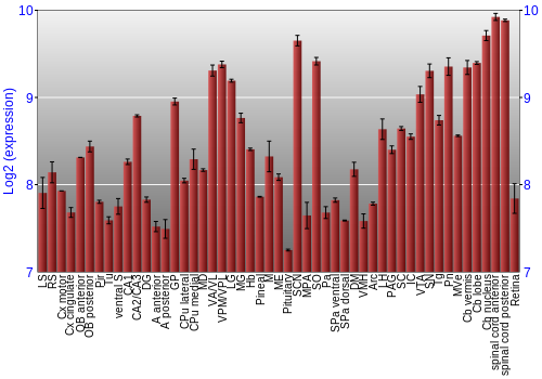 Expression graph