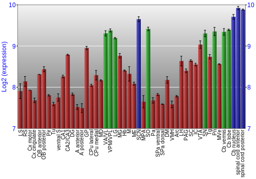 Multi-state expression graph