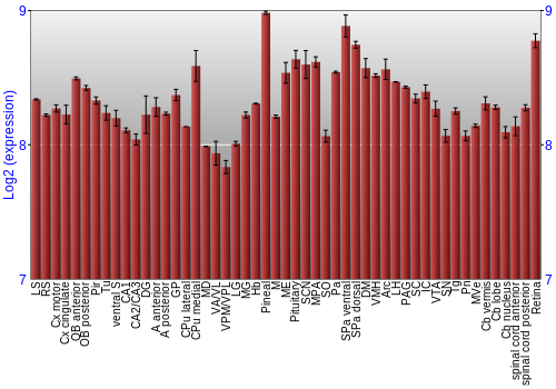 Expression graph
