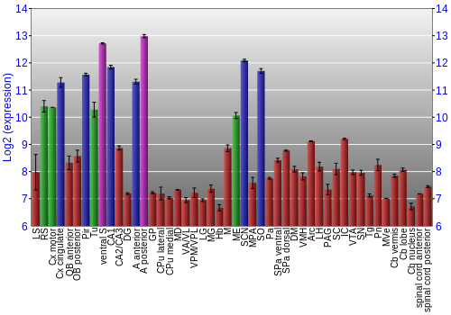 Multi-state expression graph