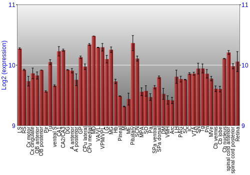 Expression graph