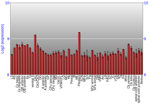 Expression graph