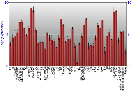 Expression graph