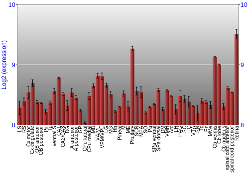 Expression graph