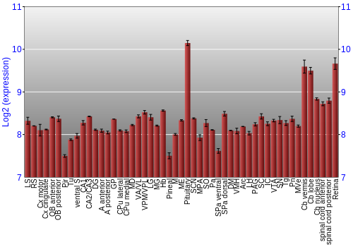 Expression graph