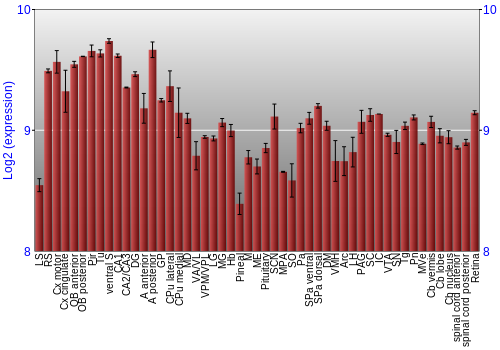 Expression graph