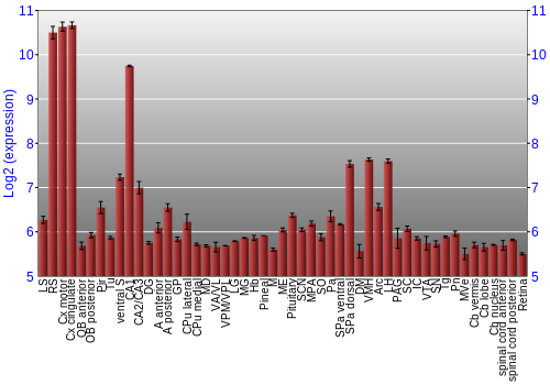 Expression graph