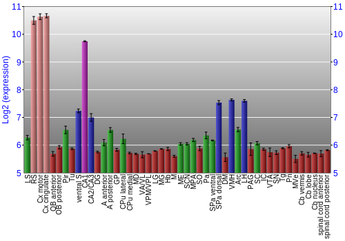 Multi-state expression graph