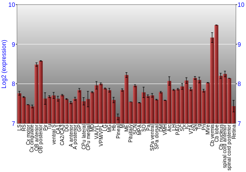 Expression graph