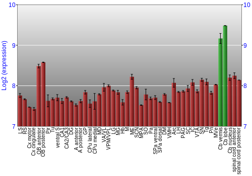 Multi-state expression graph