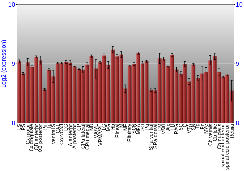 Expression graph