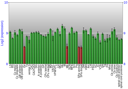 Multi-state expression graph
