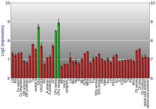 Multi-state expression graph