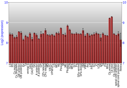 Expression graph