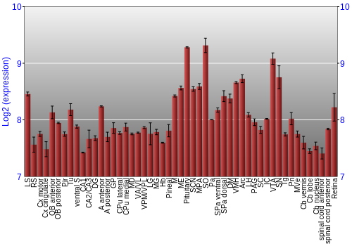 Expression graph