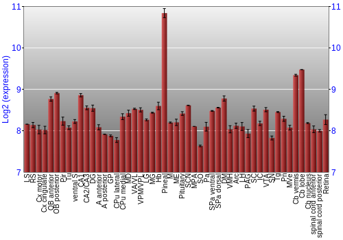 Expression graph