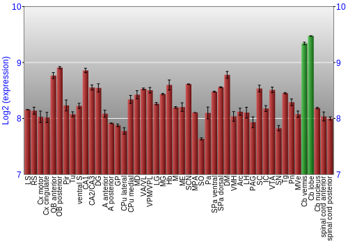 Multi-state expression graph