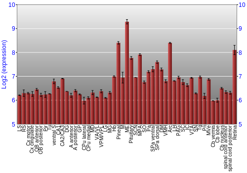 Expression graph