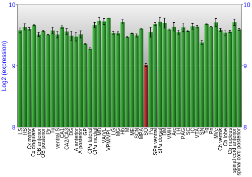Multi-state expression graph