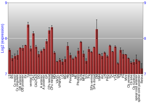 Expression graph
