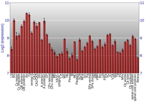 Expression graph