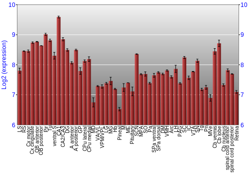 Expression graph