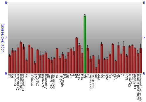 Multi-state expression graph