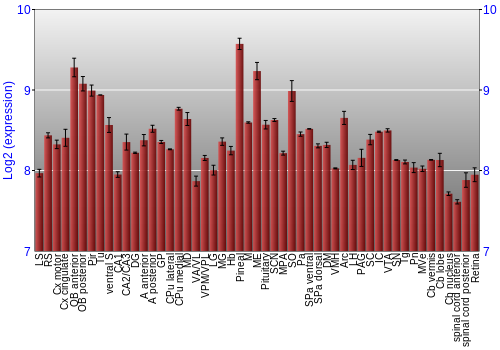 Expression graph